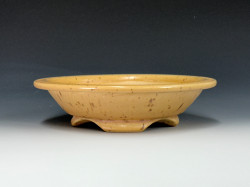 Bonsai Pot,  7 1/8" dia 24173