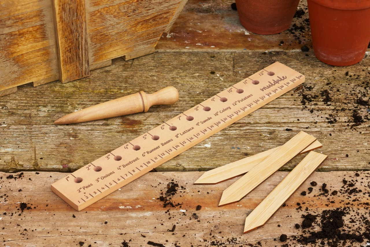 Muldale Beechwood Garden Planting Ruler with Graduations
