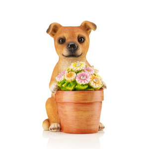 Solar Dog with Plant Pot Ornament Solar Dog with Plant Pot Ornament