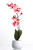 Fake Orchid Very High Quality 60cm Fake Orchid Very High Quality 60cm