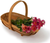 Wooden Willow Sussex Trug in Medium