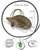 Willow Flower Basket in Medium