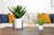 Artificial Succulent Aloe Vera with Reversible Stand