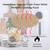 Pack of 2 Natural Air Fryer Liners