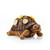 Solar Tortoise Ornament Key Holder Hider
