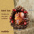 Solar Squirrel in Pinecone Garden Ornament Solar Squirrel in Pinecone Garden Ornament