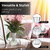 Small Lily Vase for Smaller Bouquet Small Lily Vase for Smaller Bouquet