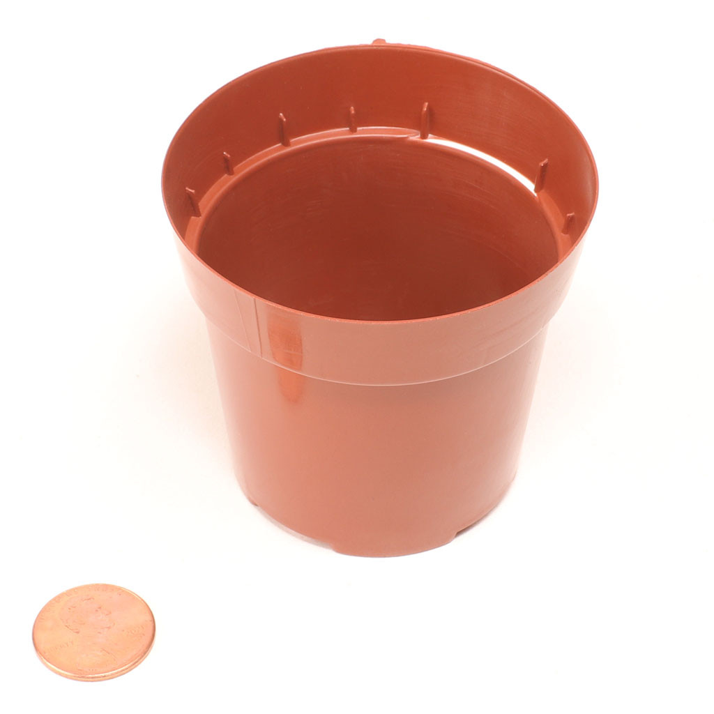 Plastic Terracotta Pot Pack (2.5"x2.25", 6-24pcs) | Mountain Crest Gardens