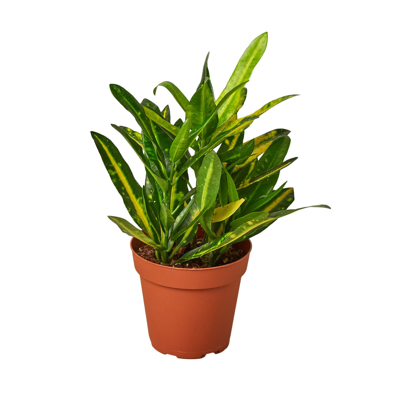 ferm living plant box rund schwarz Plant Box in Schwarz main image 0