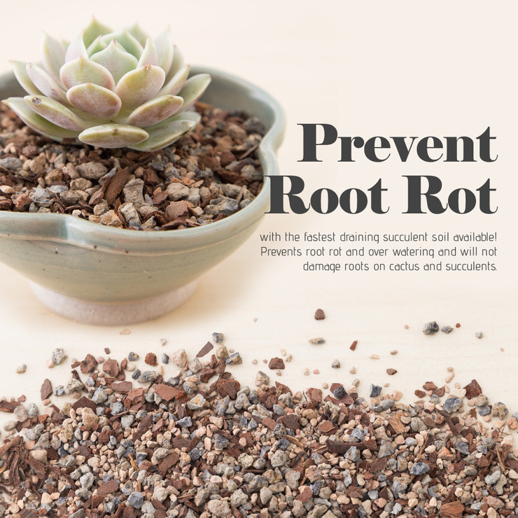 Bonsai Jack Succulent & Cactus Soil (3.5 gallons) | MCG