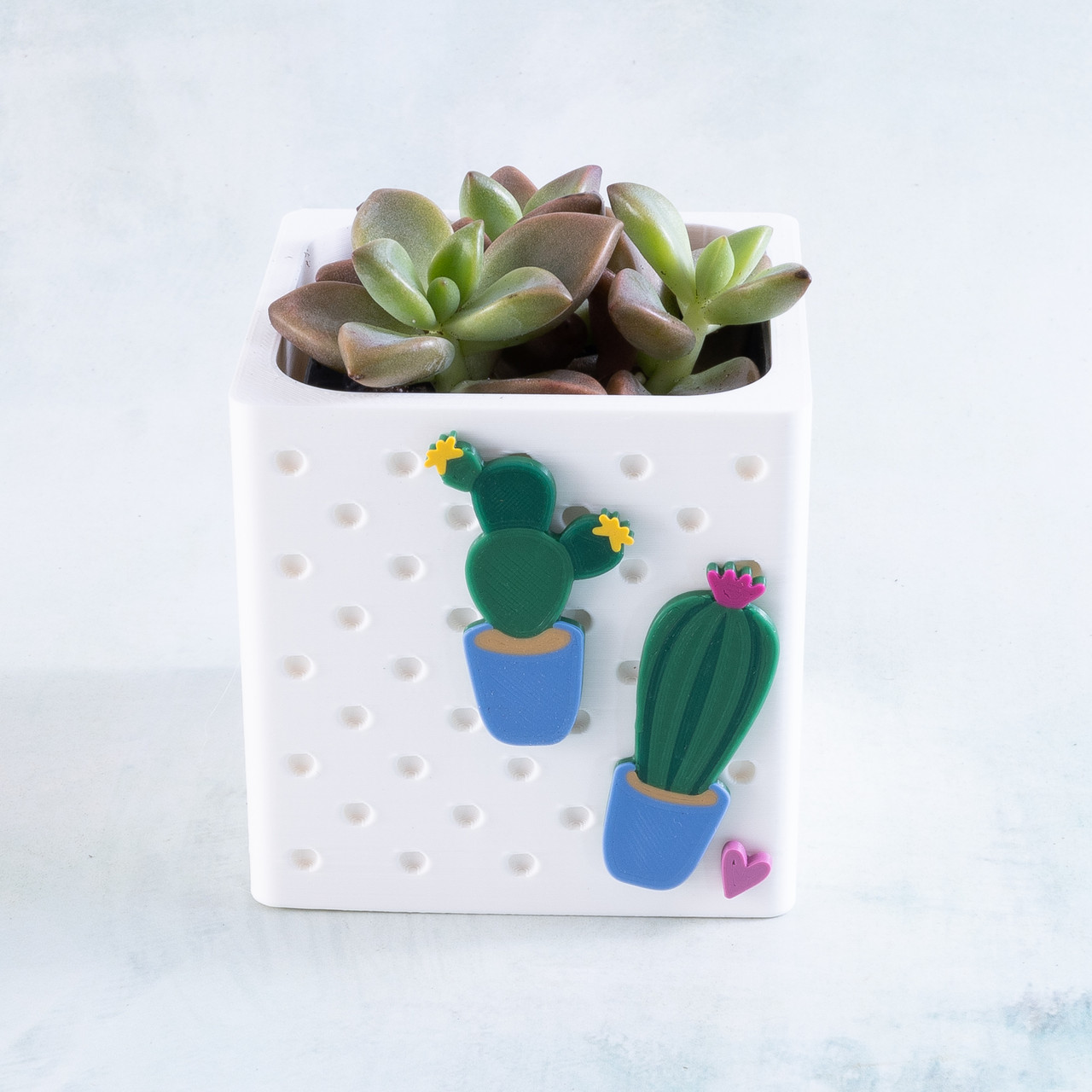 Snappy Pot w/ Saucer - 3.0