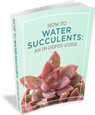 How to Water Succulents: An In-Depth Guide (E-Book)