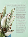 The Essential Guide to Growing Succulents Indoors (E-Book) - Look Inside 2