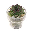 Clear Glass Votive Cups - Flower Pot Planted