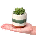 Mateo Pot 3.0" x 3.0" - Scale