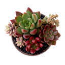 Miguel Pot 3.25" x 2.75" - Top View