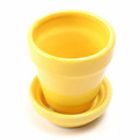 Fruit Pot & Saucer Set (Lemon) - Empty