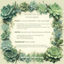 Essential Succulent Care Tips