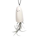 Ghost Tillandsia Hanger with Air Plant - Li'l Ghost