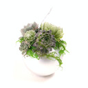 MCG Succulent Ornaments - Silver Matte Ball