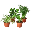 Pet Friendly Variety Bundle