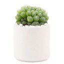 White Cylinder Pot