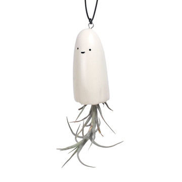 Ghost Tillandsia Hanger with Air Plant - Li'l Ghost