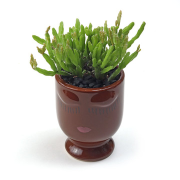 Celfie Vase - Dark Brown