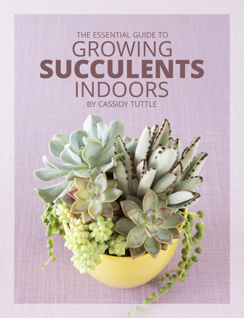 Essential Guide to Growing Succulents Indoors (E-Book) | MCG™