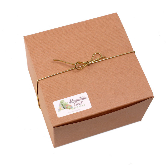 Succulent Sampler Gift Box (9-16 Varieties, 2" Pots)