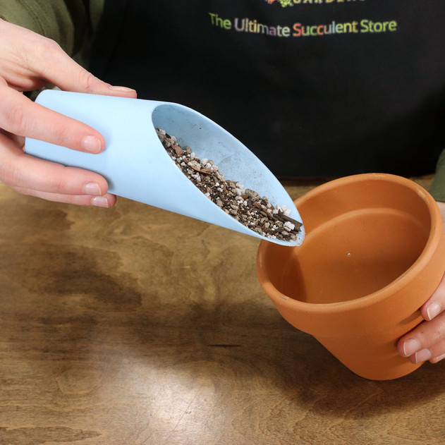 Succulent Tool Kit (20 pcs) - Mini Angled Bucket