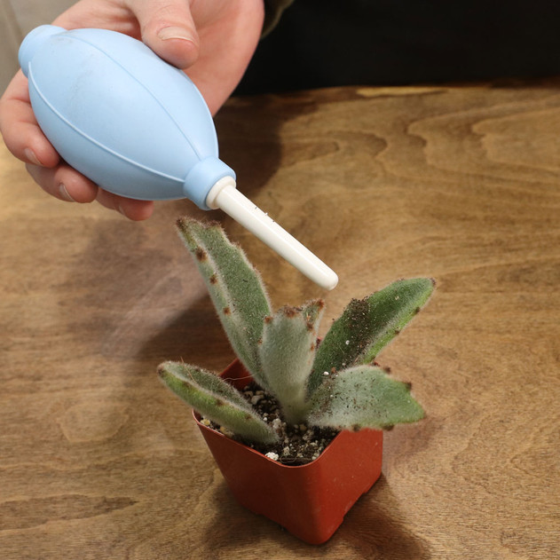 10 Pieces Mini Bonsai Tools Gardening Tool Kit Planting Cactus