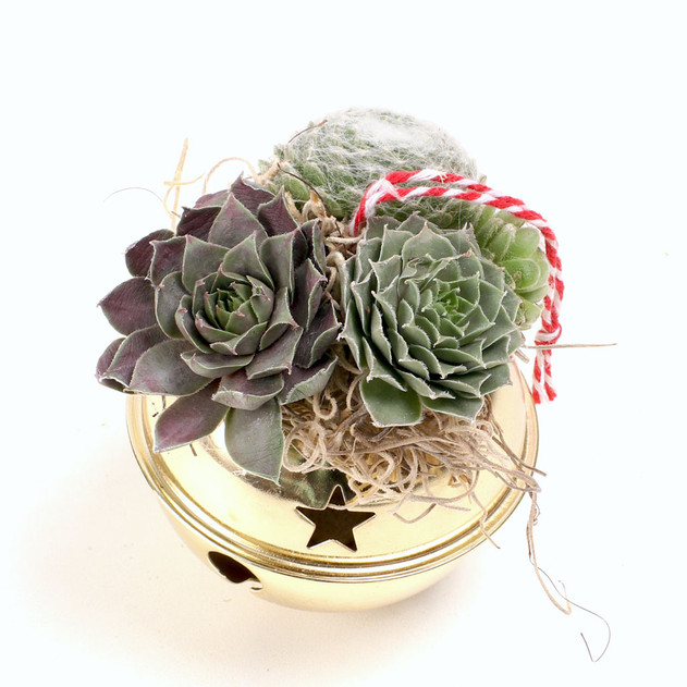 MCG Creations Mini Succulent Ornaments - Gold Jingle Bell