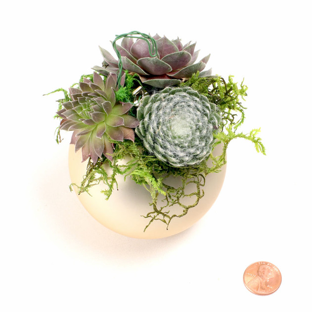 MCG Succulent Ornaments - Gold Matte Ball
