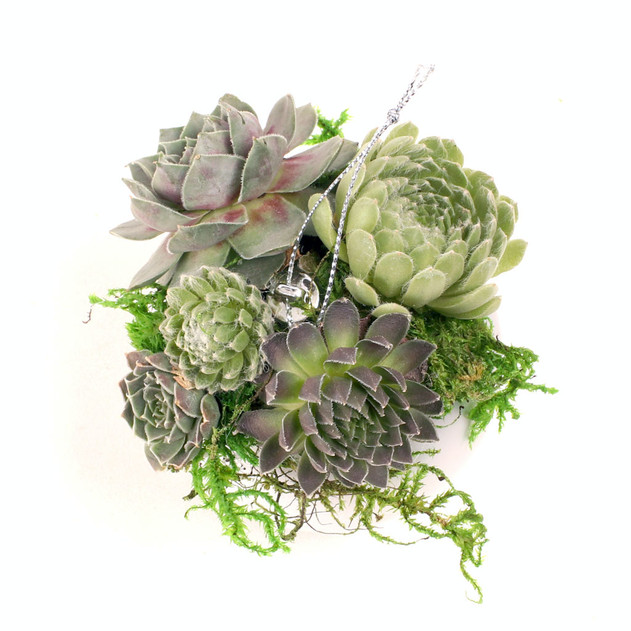 MCG Succulent Ornaments - Silver Matte Ball
