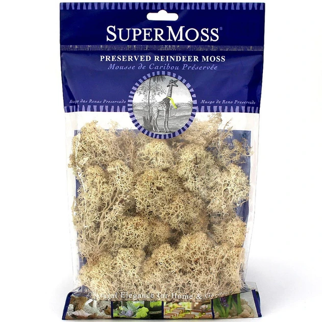 Reindeer Moss - Natural