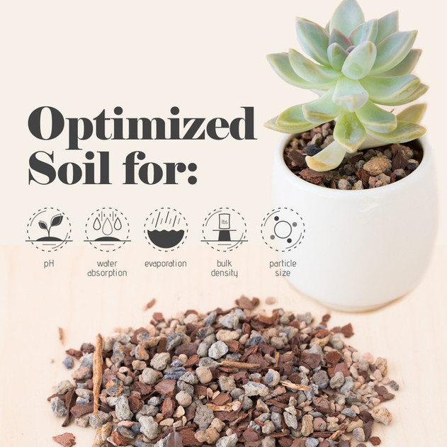 Bonsai Jack® Succulent, Cactus, Bonsai Potting Soil - Jack's Gritty Mix (½-3 gallons)