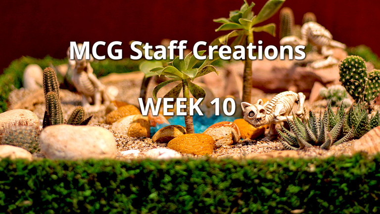 DIY Succulent Desert