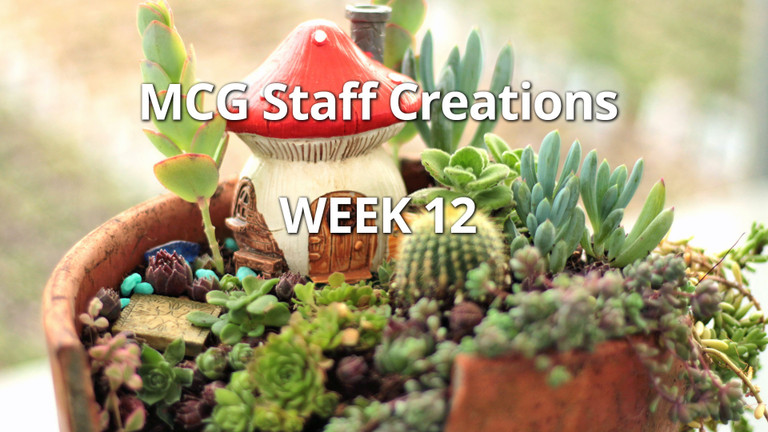 DIY Succulent Fairy Garden