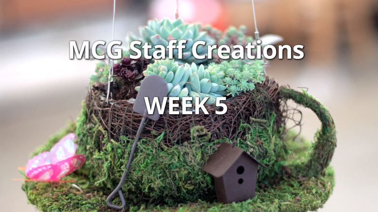 DIY Succulent Wind Chimes