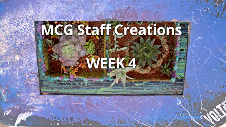 Coffee Table - Employee Creations Week 4