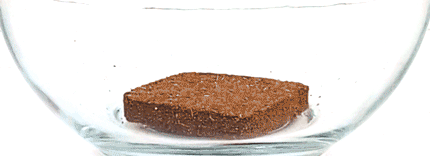 Coir Pellet Expansion