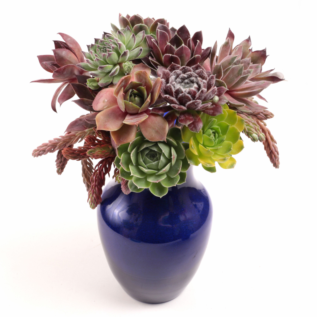 hardy-cuttings-bouquet.jpg