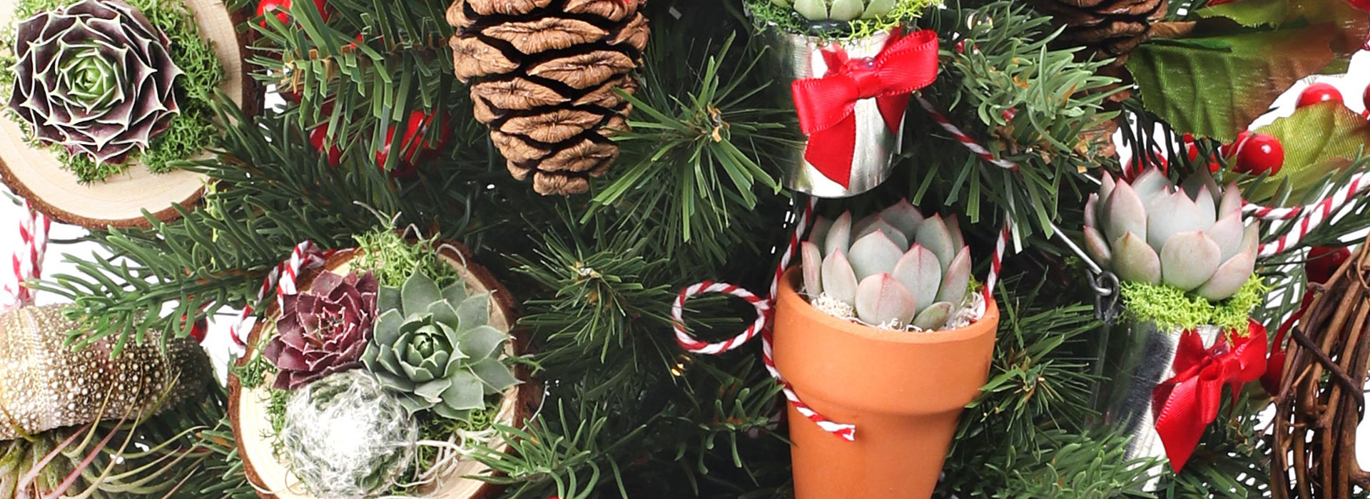 MCG Creations Mini Succulent Ornaments