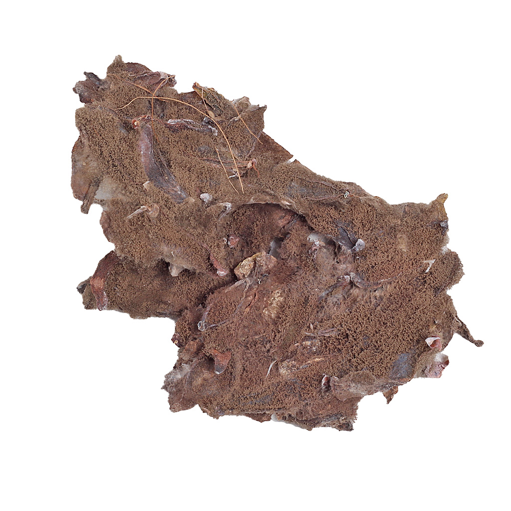 Botrytus mold.