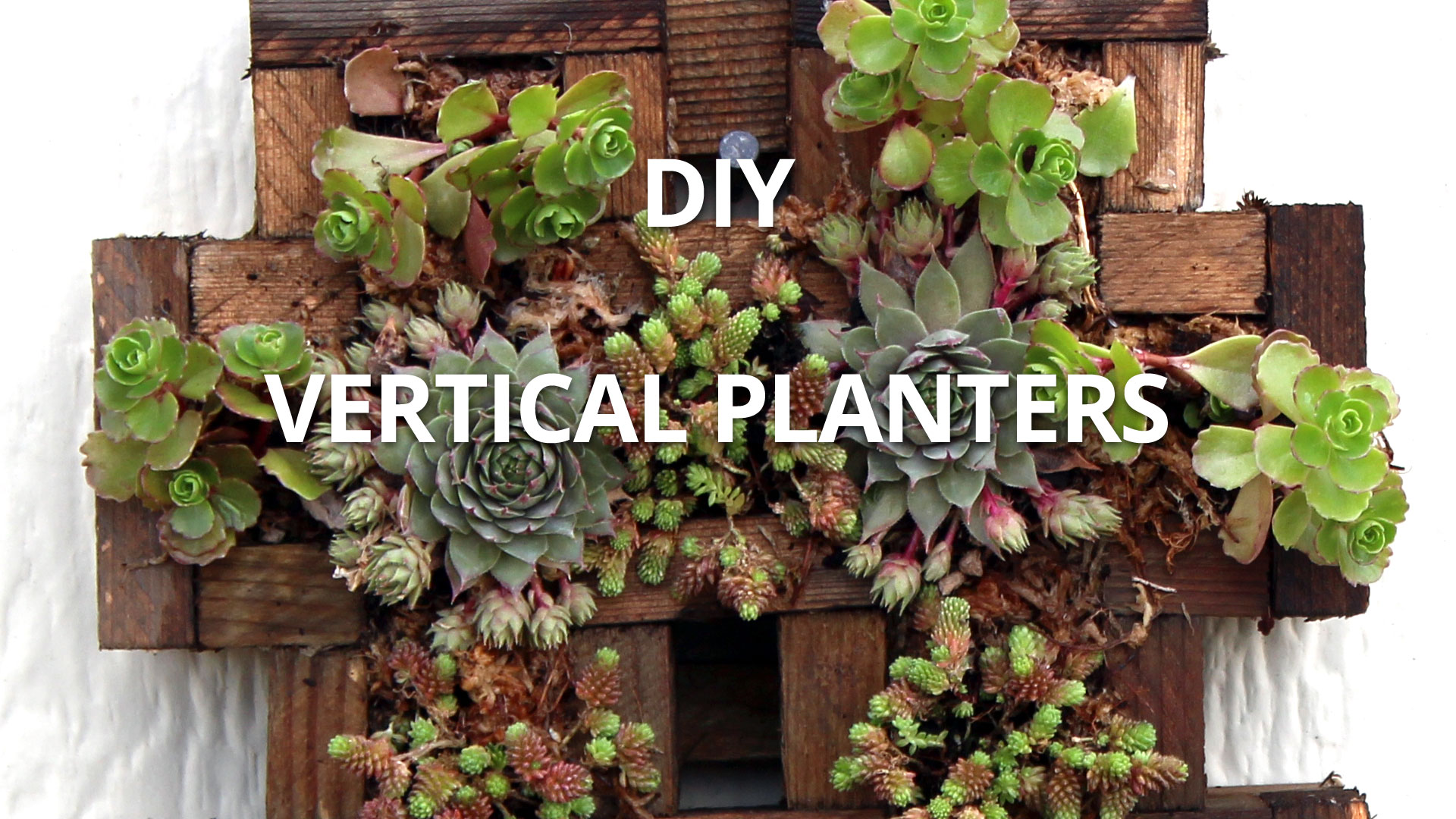 DIY Vertical Succulent Planter - Mountain Crest Gardens