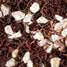 Garden Soil and Potting Mix