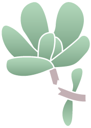 Broken Stems