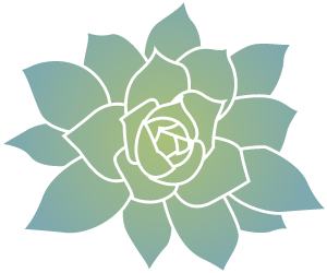Sempervivum