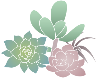 Unrooted Cuttings